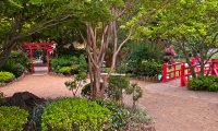 Renovated Urashima Taro Japanese Garden