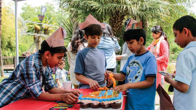 Pirate Party in Pirate's Cove