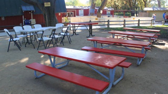 Barnyard Bash in Pooh Corner